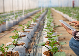 Tarım Teknolojileri ve Sera Sistemleri