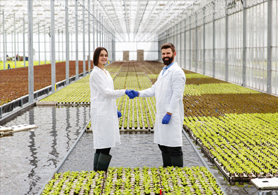 Tarımsal Ticaret ve İhracat