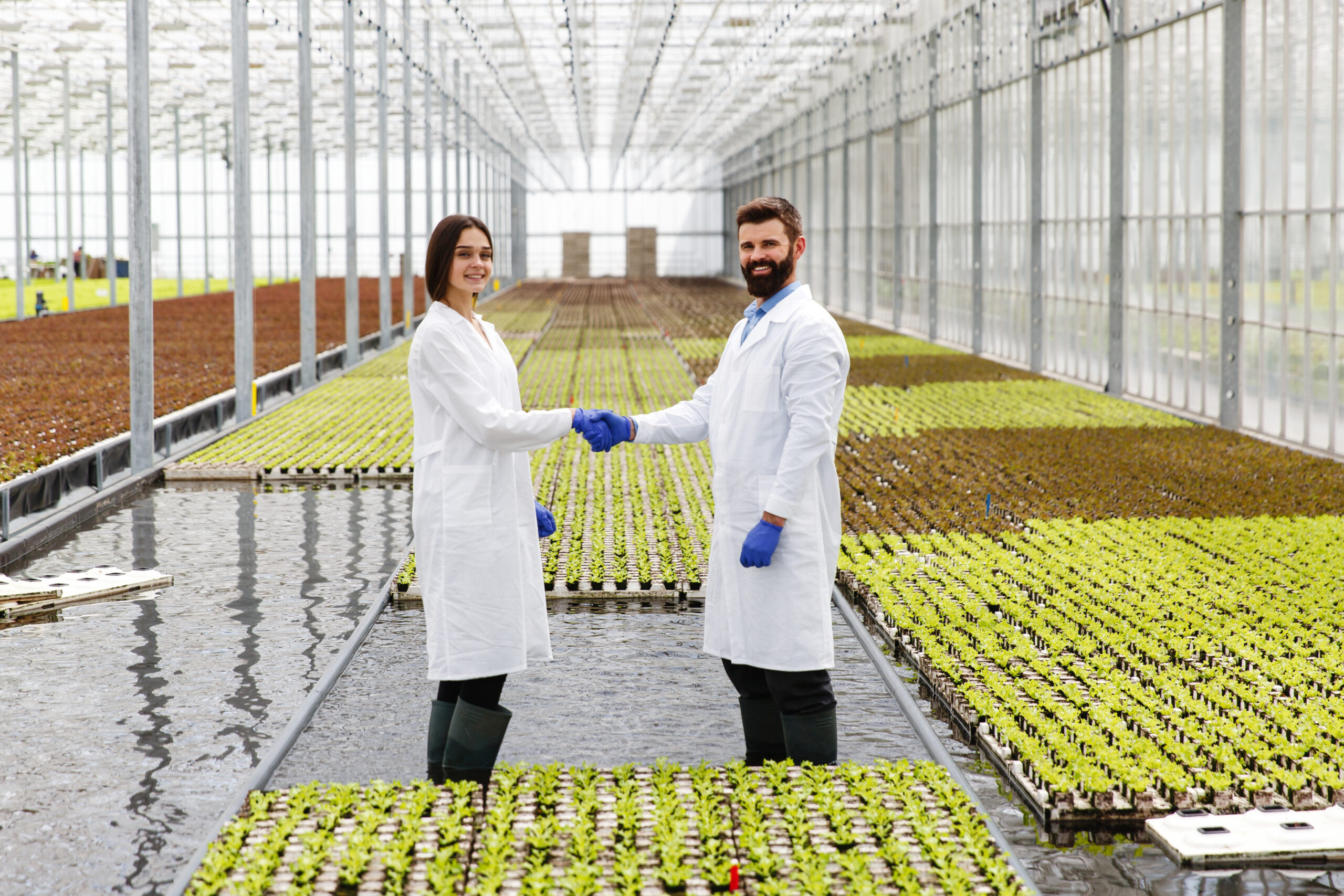 Tarımsal Ticaret ve İhracat